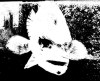 images/avatars/avatar-73.jpg